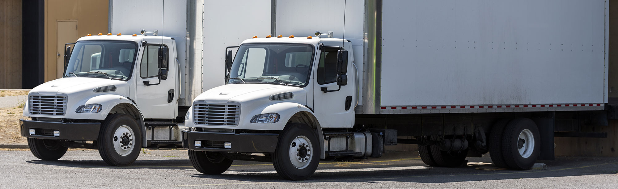 M Rose Logistics